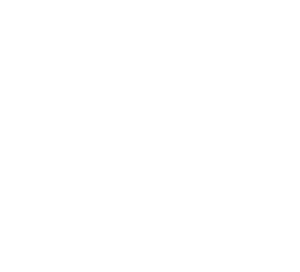 HGI_DNA_1