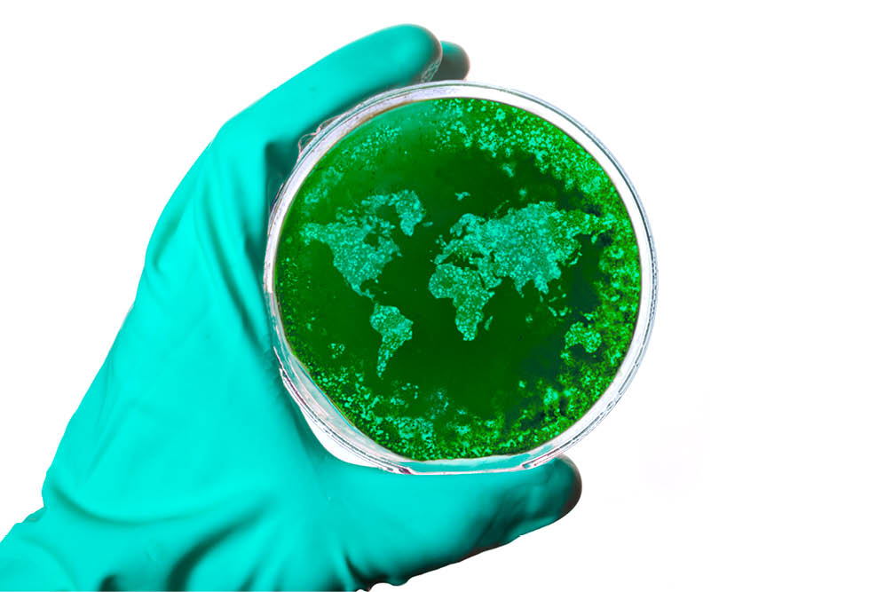 Markets fear a global coronavirus pandemic Markets fear a global coronavirus pandemic