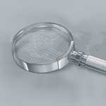 Advisor Distribution