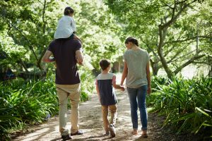 Building wealth through investment trusts