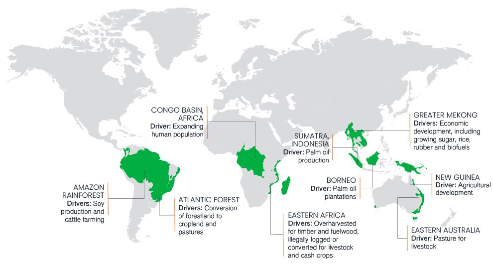 Deforestation_Map_990px