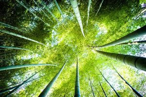 The contrarian in the room