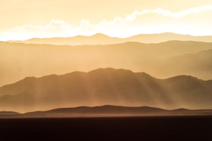 Panning for gold in the silt