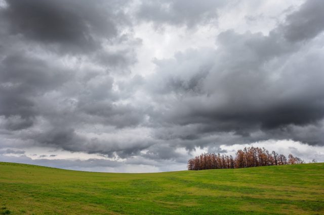 Global Perspectives: Silver lining for equities and bonds in a cloudy market