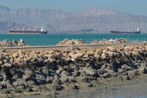 Quick View: The Iran conflict’s impact on global energy markets