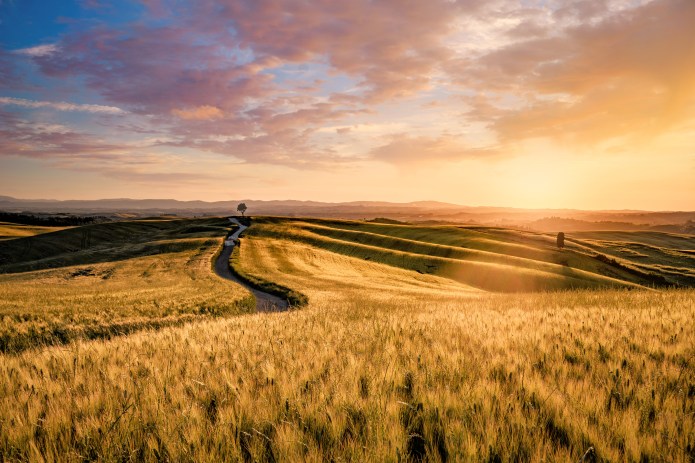 Sunny landscape from Val d'Orcia in Italy