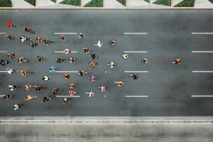 Beyond winners and losers: How to position a sustainable portfolio for the AI era