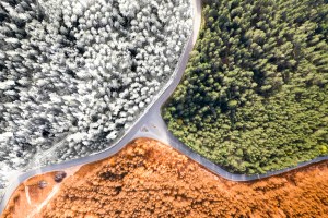 A money and cycles perspective on the global economy