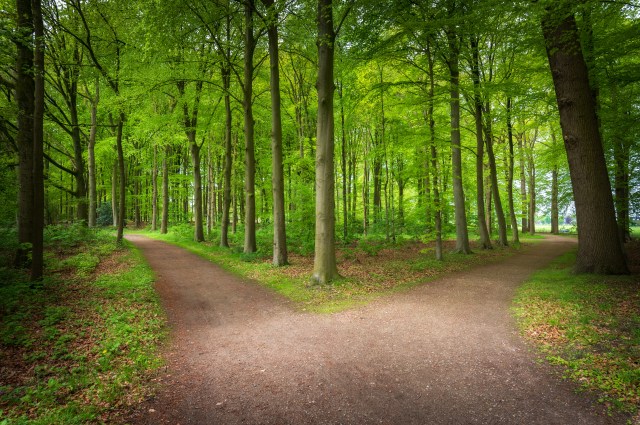 Two bond markets at once