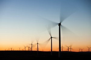 Beyond net zero: Evaluating transition plans and climate commitments
