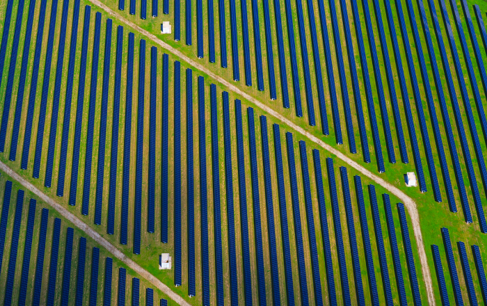 Paneles solares