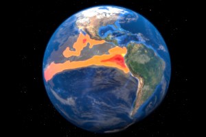 El Niño is only half the story: The investment case for understanding ENSO