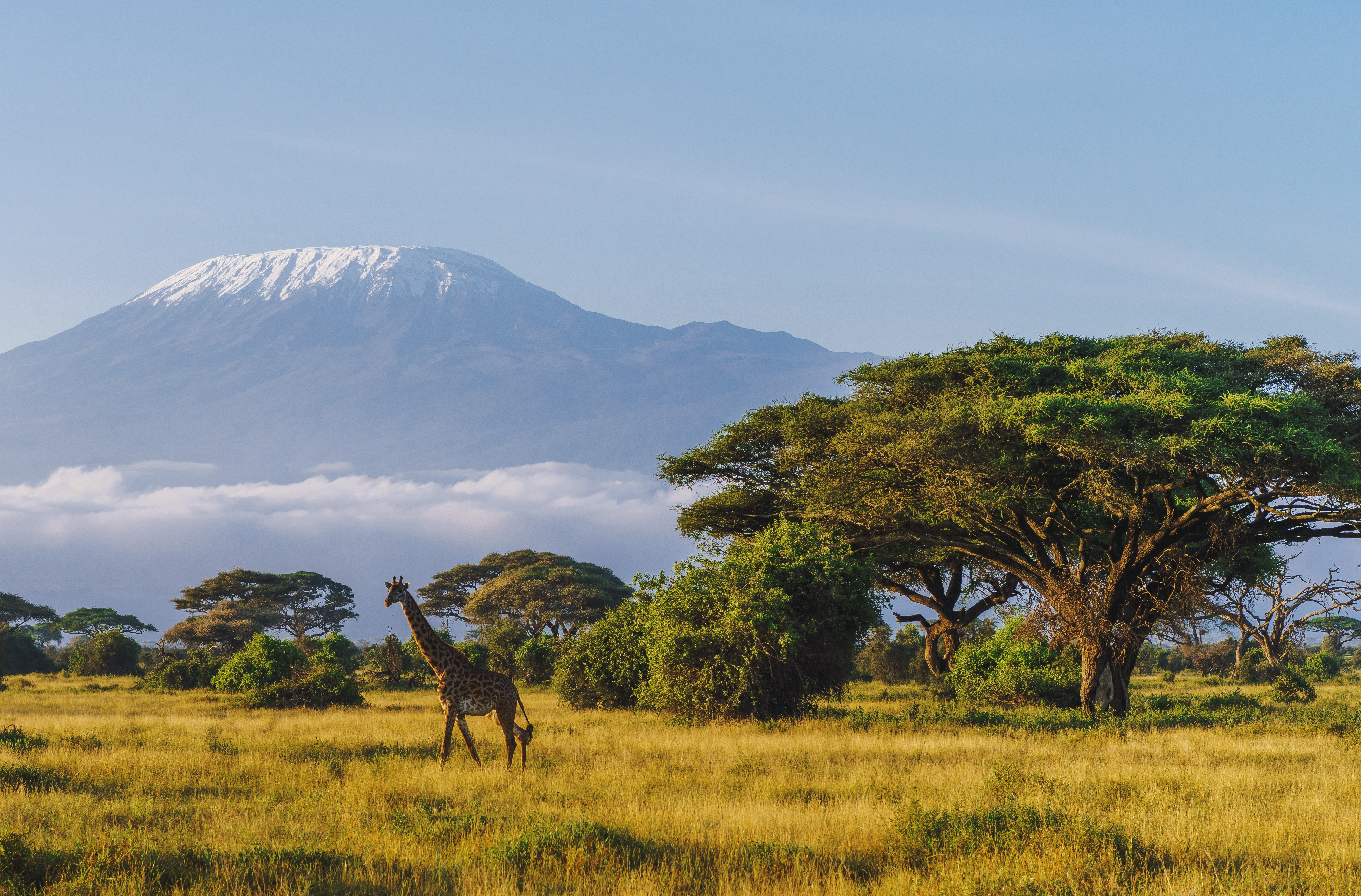 View of Kilimanjaro mountain in Amboseli National Park, Kenya