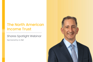 Harness the power of the US market