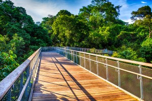 Capturing yield, safety and diversification through BBB CLOs