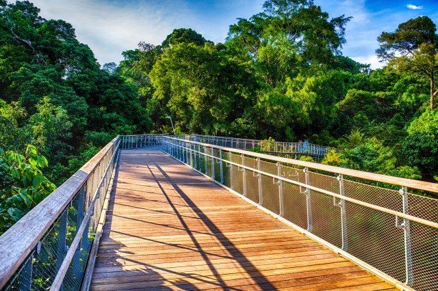 Capturing yield, safety and diversification through BBB CLOs