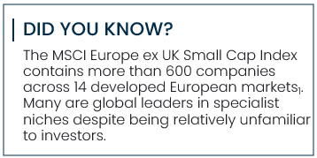 Did you know? The MSCI Europe ex UK Small Cap Index contains more than 600 companies across 14 developed European markets1. Many are global leaders in specialist niches despite being relatively unfamiliar to investors.