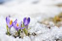European Equity: A warmer spring after a cold winter?