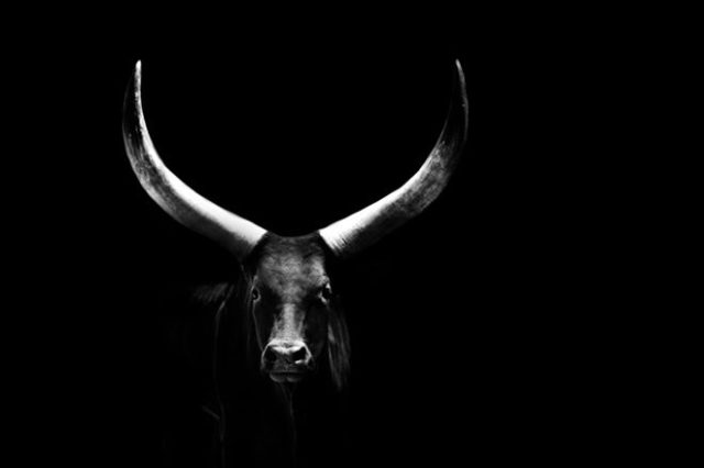 Alternatives 2022: has the bull gone far enough?