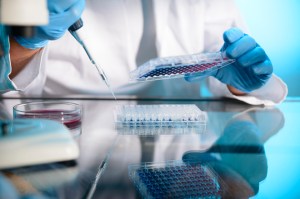 Global Life Sciences: our approach to seeking innovators in cancer therapy