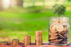 Investing with an embedded approach to ESG